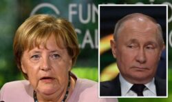 ‘Appeasing Putin!’ Merkel draws fury as she claims ‘no regrets’ over Russian gas reliance