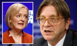 Have your say: How should UK respond to Verhofstadt’s ‘always welcome back’ plea?