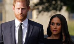 ‘Rarely a good idea’: Meghan Markle’s decision to discuss ‘family feud’ on TV questioned