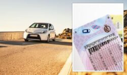 Couple who moved to Mallorca ‘punished’ by post-Brexit driving licence rules