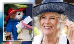 Queen Camilla surrounded by ‘marvellous’ Elizabeth II tributes in new photo at family home