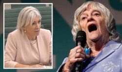 Widdecombe compares Tory MPs pushing for general election to ‘lemmings jumping off cliff’