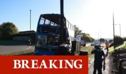 Bus crushed in horror crash as driver ‘dazzled by the sun’