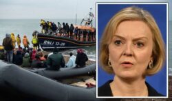 ‘Immediate’ action on illegal migrants demanded as ‘tiny’ number sent home in pilot