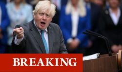 ‘Huge mistake!’ Boris’ potential return hailed as future of Tories and Brexit ‘in peril’