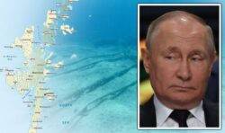 ‘Danger to come’: Damaged cable in Shetlands ‘may have been a dry run for Russia’ – claim