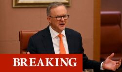 Australia ‘concerned’ political chaos in UK will spark further delays to key trade deal