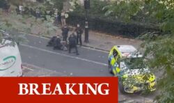 Armed police pounce on man with knife and pin him to ground outside Palace of Westminster