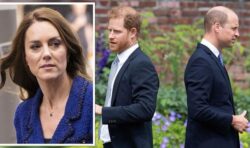 Royal Family LIVE: Kate has ‘rift healing’ masterplan to reunite Harry and William in US