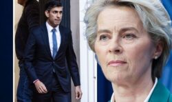 ‘Won’t ruffle feathers’: Brexit warning as Rishi Sunak branded ‘fearful of upsetting EU’