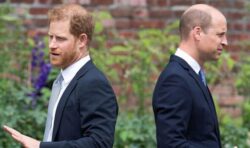 Prince Harry ‘wants quick results’ with work unlike ‘strategic’ William