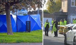 Half term tragedy: Schoolgirl, 14, killed as Vauxhall Astra crashes into two children