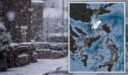 Met Office predicts snow in days as temperatures plunge across the UK