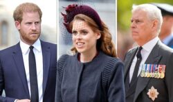 ‘Absurd’ for King to have non-working royals able to deputise – YOU VOTED