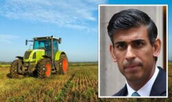 ‘Brexit betrayal’ Rishi facing farmer fury as Truss slammed for keeping hated EU law