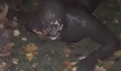 Teenager opens up on ‘freaky’ encounter with ‘Somerset gimp’ as new images released