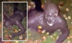 Forest Gimp! New stomach-churning video of sighting of prowler speaking ‘demon language’