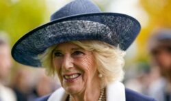 ‘You can spoil them!’ Queen Consort Camilla dotes on grandchildren rarely seen in public