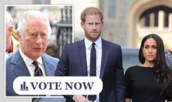 Royal POLL: Should King Charles strip Meghan and Harry of royal titles?