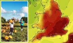 UK pays the price for record-breaking heatwave with small pumpkins and winter drought