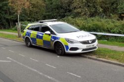 Three arrested after body found in Essex woods linked to missing man