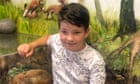 Essex family say they are ‘broken’ by death of boy, 12, in wall collapse