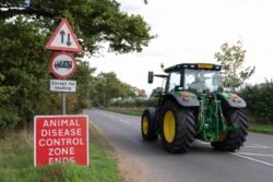 Second case of bird flu detected in Anglesey