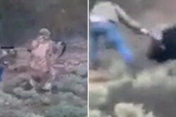 Horror moment buffalo gets deadly revenge as beast gores top hunter