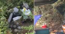 Woman found living in hedge for three years didn’t want to leave her cat