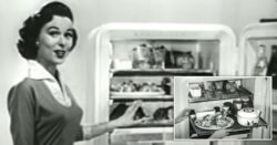 People on TikTok are going crazy for this discontinued fridge from the 1950s