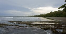 Two children among six tourists feared dead after plane crashes off Costa Rica