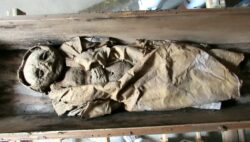 ‘Virtual autopsy’ identifies 17th century mummified toddler