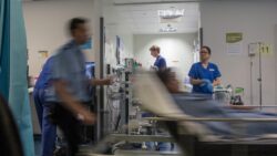 NHS spends £40m a year on diversity staff – enough for extra 1,200 nurses