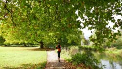 Brits to enjoy 17C Indian Summer and its set to last until Halloween