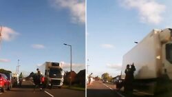 Rider inches from death after horse backs into a lorry – who is in the right?