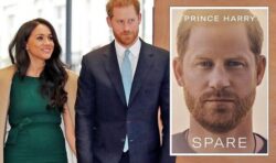 Harry’s memoir ‘Spare’ could be about Meghan ‘taking centre stage’ since UK exit