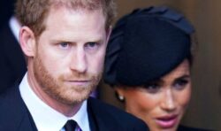 Prince Harry setting up ‘individual identity’ alongside ‘brand Meghan & Sussex’