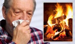 Britons told energy saving log burners ‘increase health risk’ – new SAGE warning