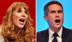 Gavin Williamson should not be MP if bullying allegations are true, says Angela Rayner