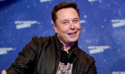 Elon Musk’s net worth plummets after he sells nearly £3.5billion of Tesla stock