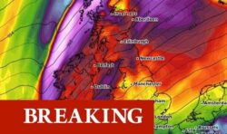 UK storm warning: Travel chaos fears as Met Office puts 3 regions on alert for 65mph winds