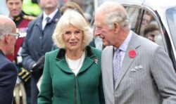 King Charles and Camilla delight visually impaired boy with unique audience after letter