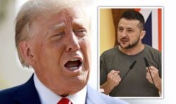 Ex-marine sheltering from rocket barrages in Ukraine hails ‘Trump losing his pull’ in US