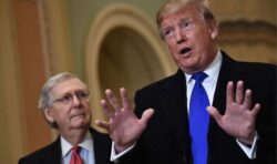 ‘Mitch McConnell’s fault’: Trump blames GOP Senate leader for Republican losses