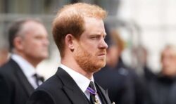 Prince Harry pictured at Pearl Harbour wearing a poppy and no military medals over weekend