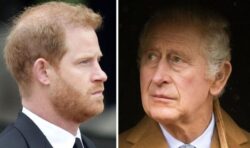 King Charles snubs Harry and Andrew as he hands out top royal roles to Edward and Anne