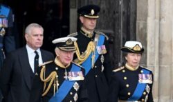 Princess Anne and Prince Edward will take on new royal role for King Charles ‘very soon’