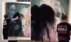 Priceless Klimt masterpiece attacked with thick black paint in new eco stunt – video