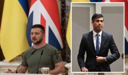 Sunak makes surprise visit to Kyiv to confirm UK’s continued support with Zelensky