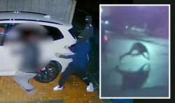 Horror moment driver tries to beat back gang of thieves before being brutally thrown out